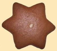 Lebkuchen-Stern 50g
Nr. 212